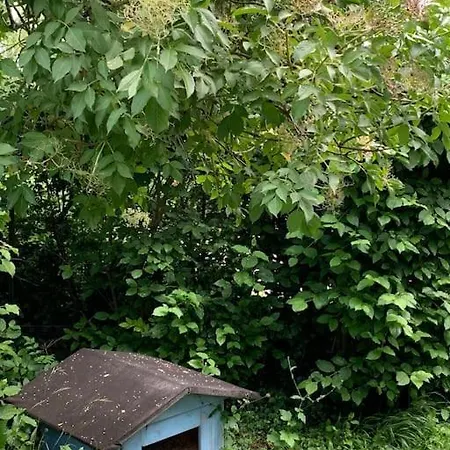 Guest Near Vienna Διαμέρισμα