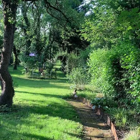 Apartament Guest Near Vienna *