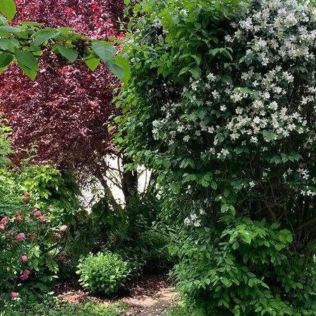 Guest Near Vienna Διαμέρισμα