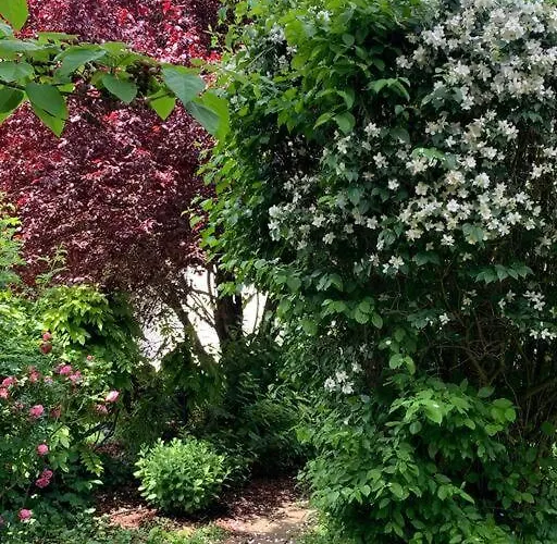 Guest Near Vienna Apartament