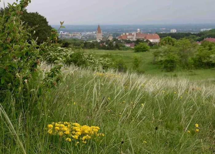 Guest Near Vienna Apartament *